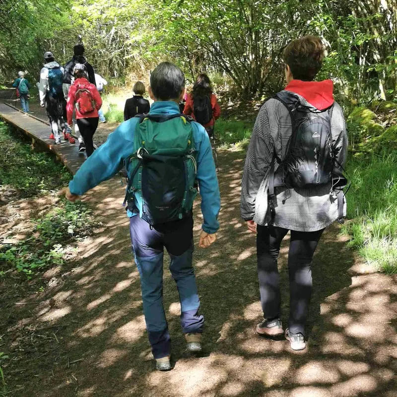 Randonnée 2024 à Saint-Agnan - Rythme et Fitness - Autun